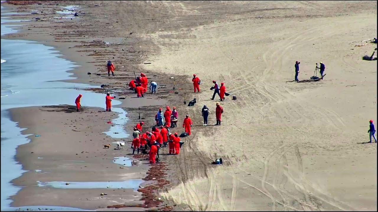 Derrame de hidrocarburos en el Golfo: gobierno reporta 85% de limpieza en playas de Veracruz y Tabasco