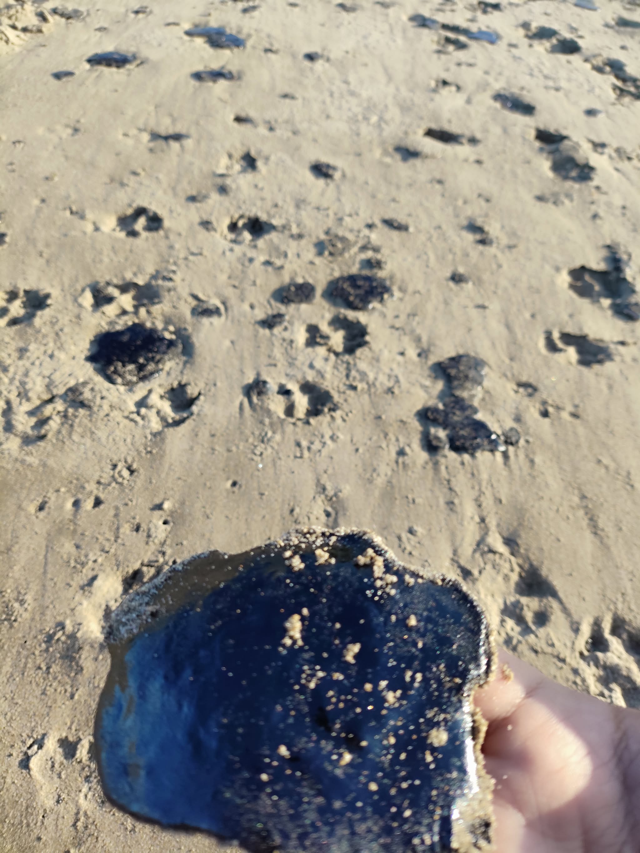 Derrame de crudo impacta más de 230 km del litoral; ahora reportan presencia en playas de Agua Dulce