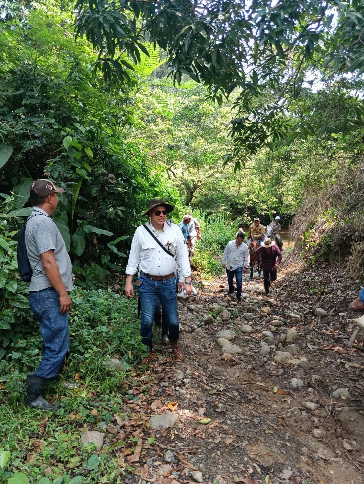 Galería